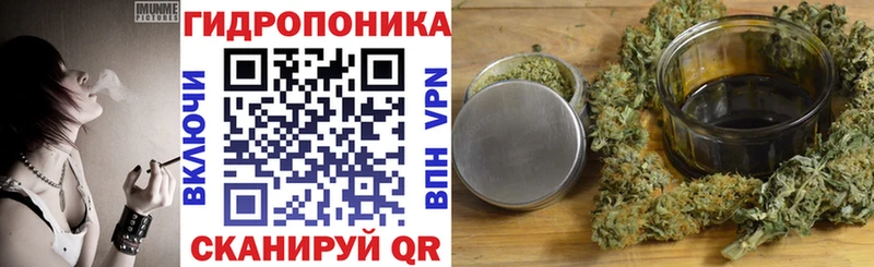 Купить закладки  Клин  Бошки Шишки план 